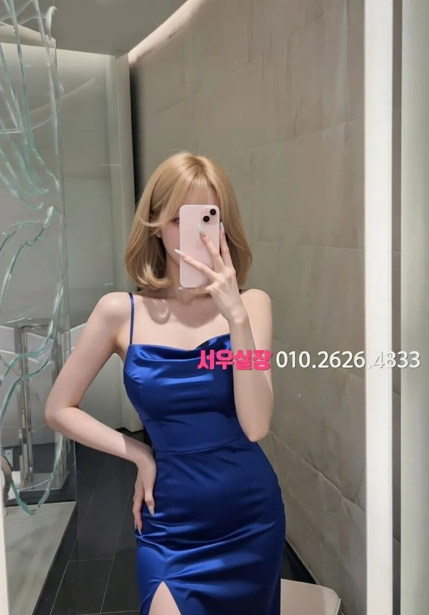 고양 하이쩜오 추천 및 검증된 최상급 프리미엄 업소 스크린샷