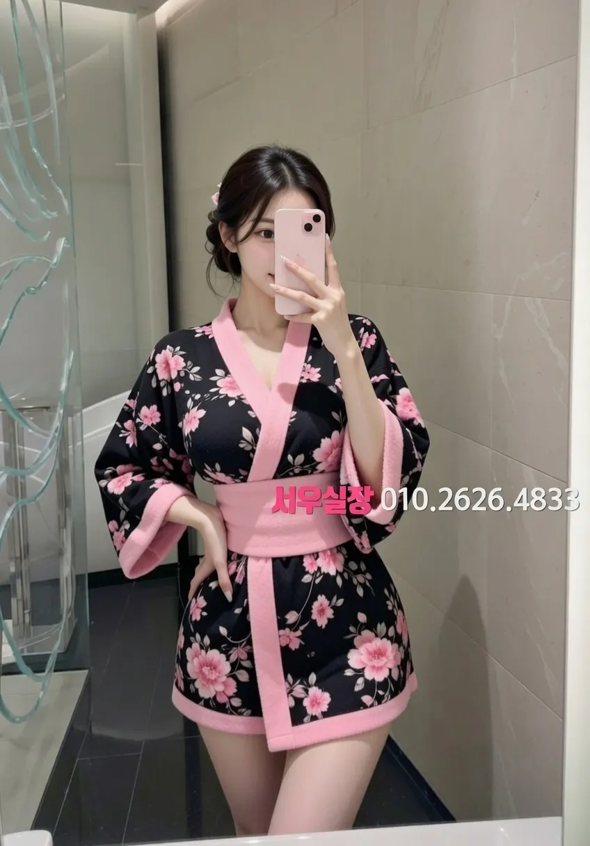 고양 룸싸롱 추천 및 검증된 최상급 프리미엄 업소 스크린샷