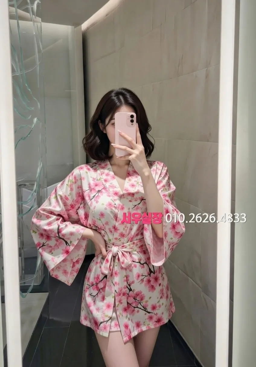 고양 퍼블릭 추천 및 검증된 최상급 프리미엄 업소 스크린샷